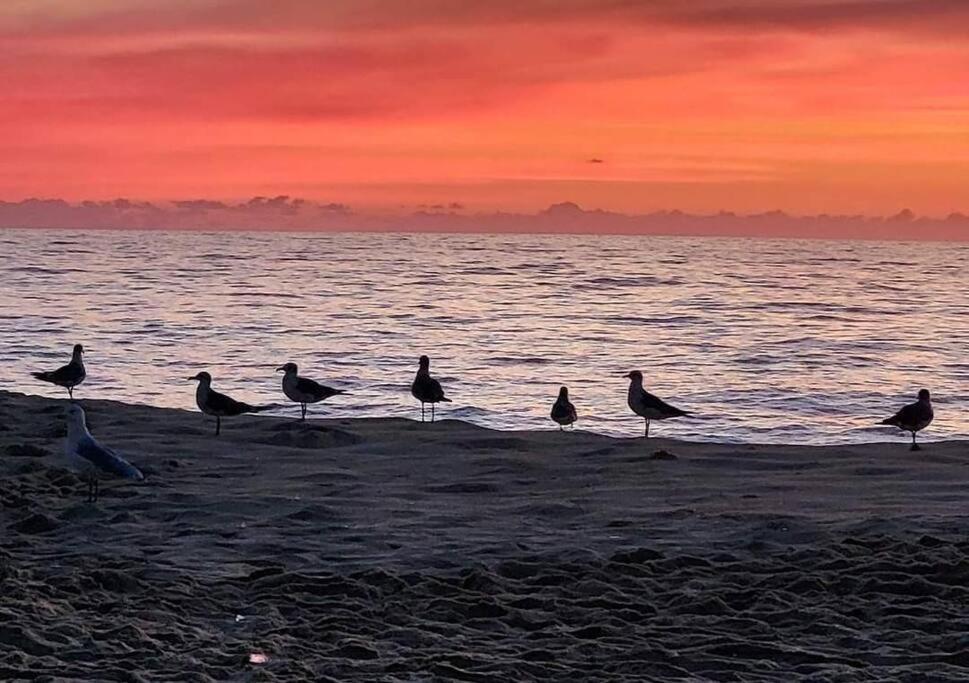 North Ocean City Newly Remodeled 外观 照片